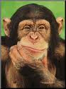 chimpanzee chimpanzee