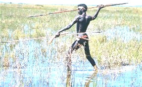 Aborigine hunting paleodiet