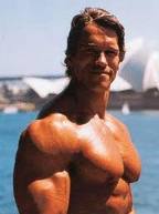 perfect male body perfect male body