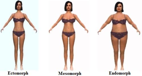 ectomorph female