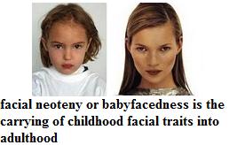 facial neoteny