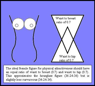 breast size