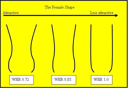 Not fat people - if you have an hourglass shape